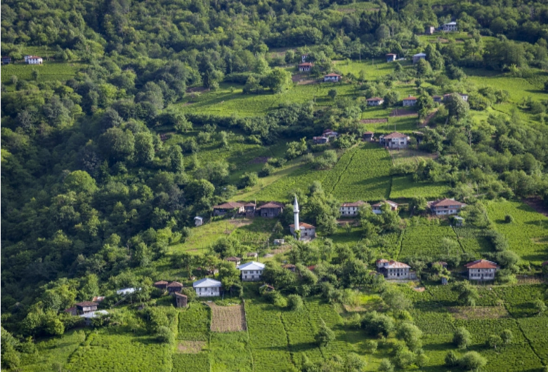 Peran Telco Tower dalam Transformasi Digital Daerah Terpencil