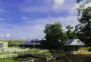 PLTS Perkebunan dan Pertanian: Simak Hal Pentingnya