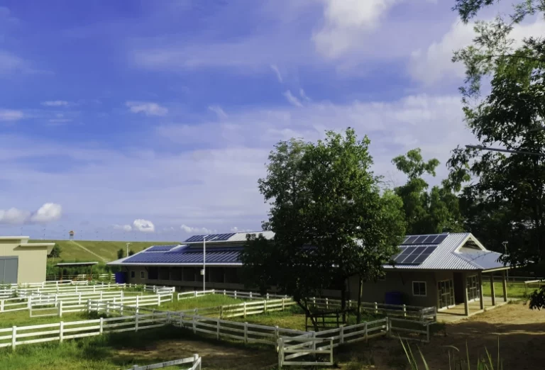 PLTS Perkebunan dan Pertanian: Simak Hal Pentingnya