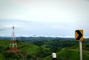 Implementasi-Tower-Area-Perkebunan-dan-Pertanian-DCT