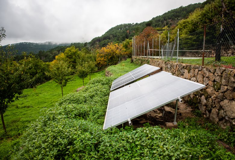 Smart System Panel Surya untuk Penghematan Energi di Area Perkebunan dan Pertanian