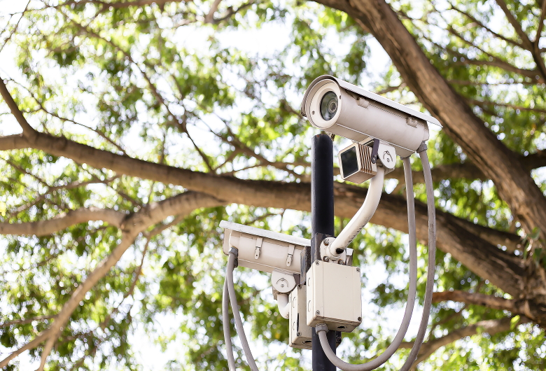 CCTV Plantation: Solusi dalam Menjaga Keamanan dan Produktivitas Perkebunan Skala Besar