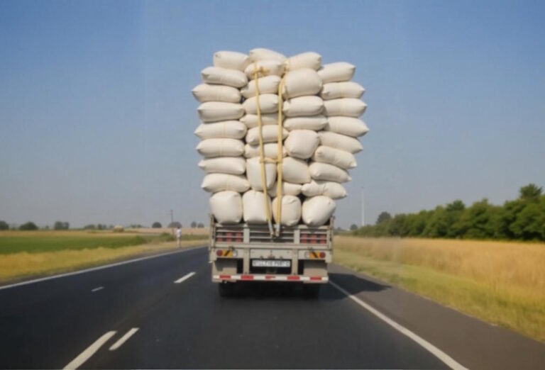 Kebijakan-Terkait-ODOL-2025-Apa-Saja-yang-Berubah-dan-Mengapa-Penting-DCT-1.