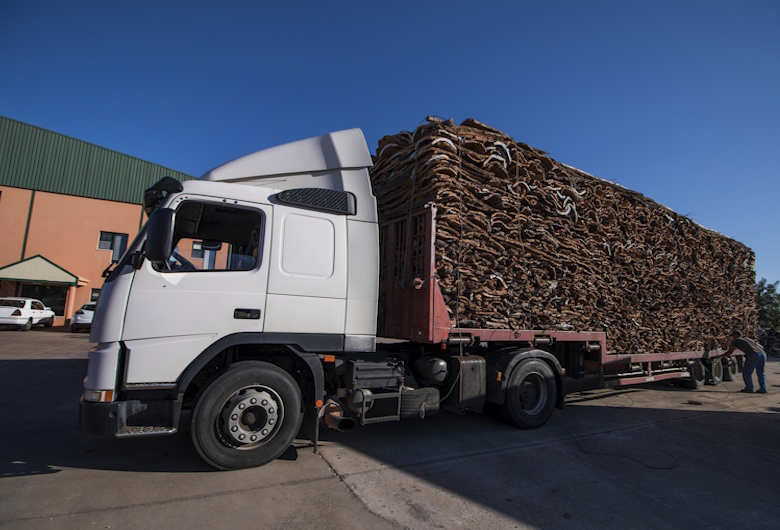 Truk ODOL Penyebab Utama Kerusakan Jalan dan Jembatan di Indonesia