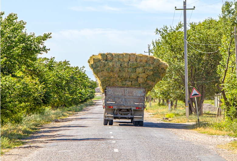 Truk ODOL Masih Marak? Ini Strategi Penanganan yang Sedang Diterapkan